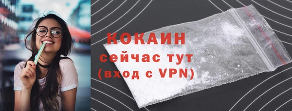 дмт Горняк