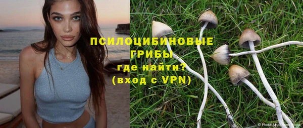 бутират Горно-Алтайск