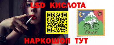 амф Ярославль