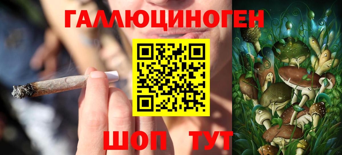 Снежинск  что такое   Вход с VPN  Галлюциногенные грибы Psilocybe  Псилоцибиновые грибы ЛСД 